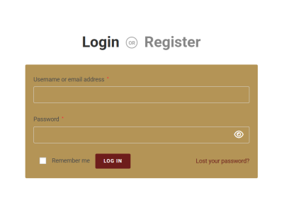 Login Form